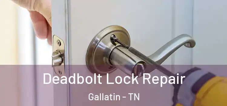  Deadbolt Lock Repair Gallatin - TN