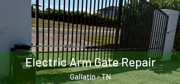 Electric Arm Gate Repair Gallatin - TN