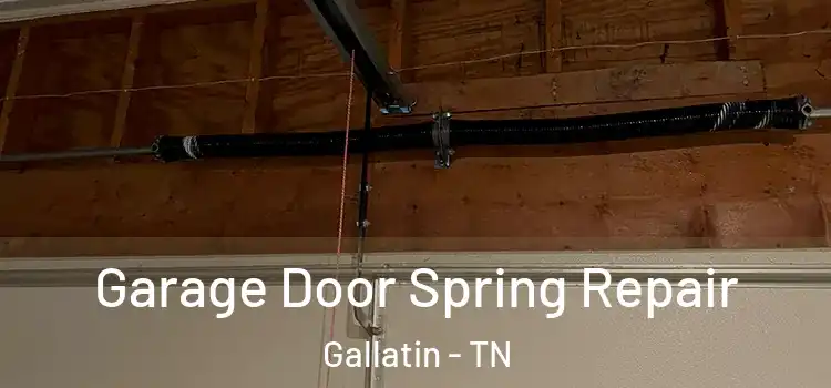  Garage Door Spring Repair Gallatin - TN