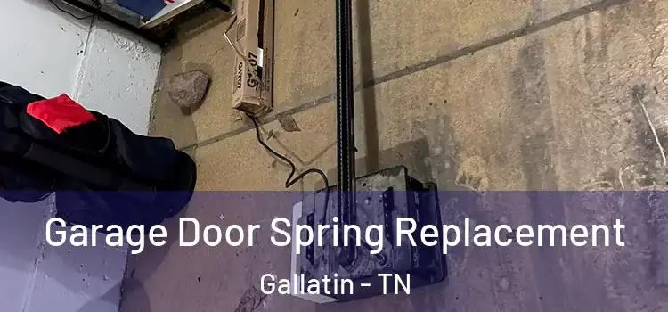  Garage Door Spring Replacement Gallatin - TN