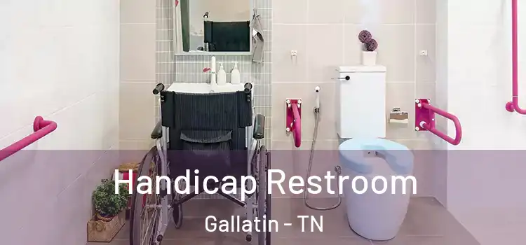  Handicap Restroom Gallatin - TN