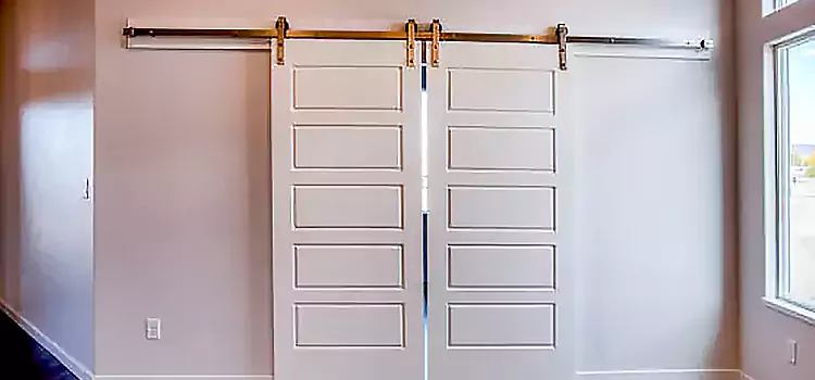 Glass Barn Door with Installation Hardware Kit Gallatin
