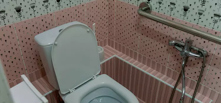 Meeting Diverse Needs With Accessible Restroom Solutions in Gallatin, TN