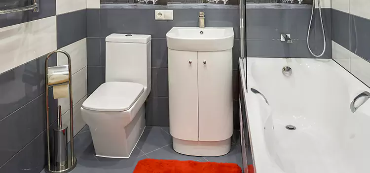 Hansgrohe Shaving Mirror Gallatin