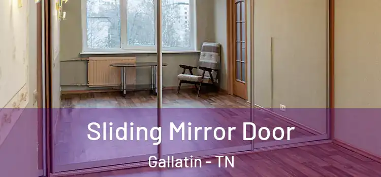  Sliding Mirror Door Gallatin - TN